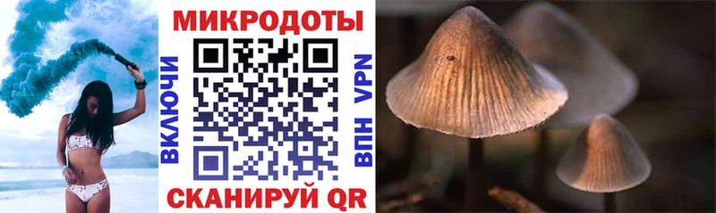 Галлюциногенные грибы MAGIC MUSHROOMS  Купить закладки  Бийск 